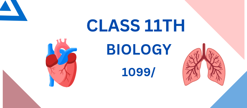 https://rkcstudy.com/assets/images/package/class-11-biology.png